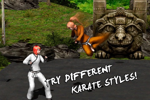 Karate Do Fighting Tiger 3D Full screenshot 2