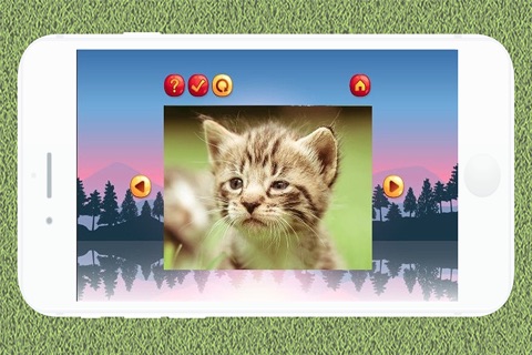 Animals Jigsaw Puzzle Games screenshot 4