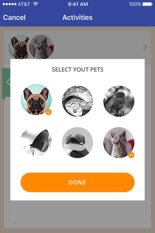 PetLife screenshot 4