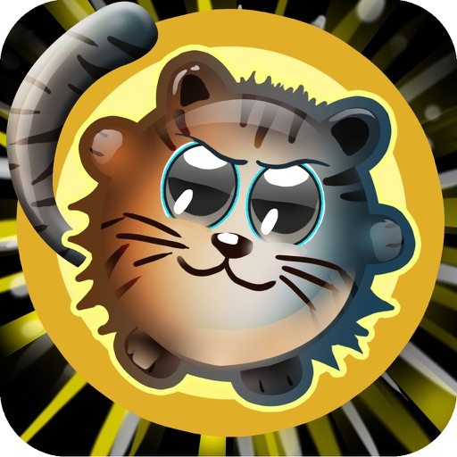 Amazing Cat Curvulate Land Escape Icon