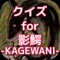 このクイズアプリは、影鰐-KAGEWANI-に関するクイズを出題しています。このアプリをすることで、影鰐-KAGEWANI-の幅広い知識が問われ、あなたのファン度数が試されます。解説も知識を深めてくれますので、一度挑戦してみてくださいね。