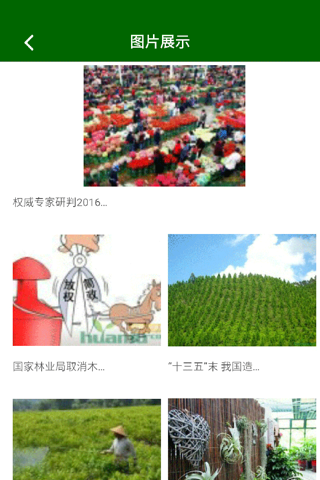 上海绿地APP screenshot 4