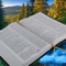 Memorize Bible Verses - FREE:  A Game to Help you to Memorize Scriptures! Uses the NEW WORLD TRANSLATION