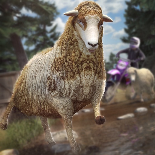 Sheep Simulator | Free Sheep Game For Little Kids iOS App