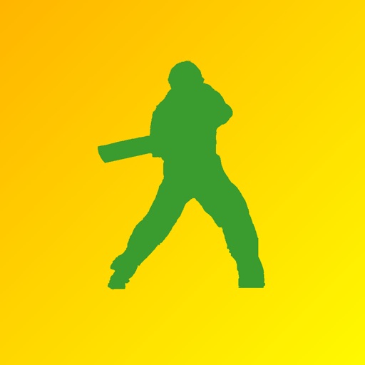 Name It! - Australia Cricket Edition icon