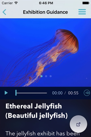 ENOSHIMA AQUARIUM screenshot 2