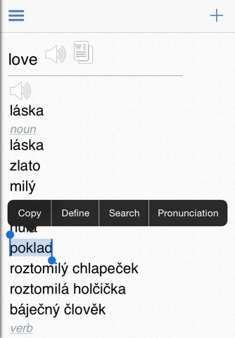 Czech Dictionary Elite screenshot 3