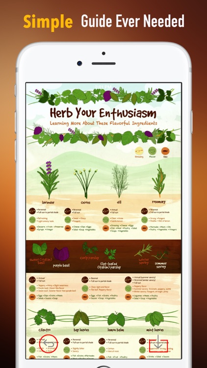 How to Grow Herbs :Tips and Guide