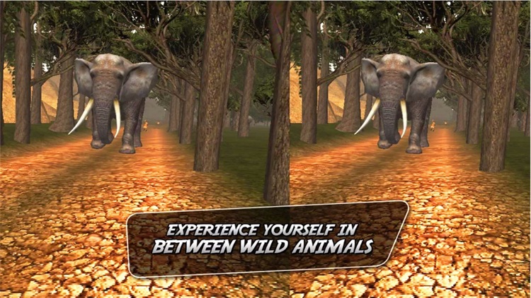 Wild Jungle Tour VR