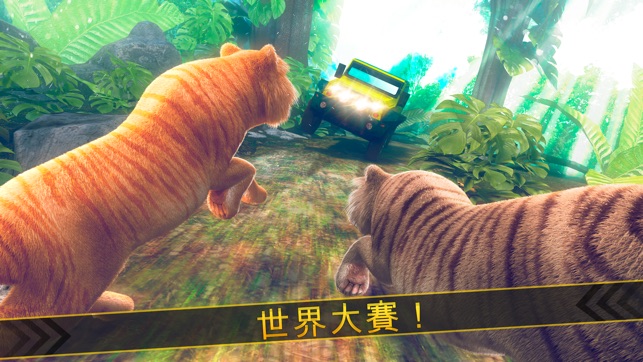 老虎 動物 酷跑(圖2)-速報App