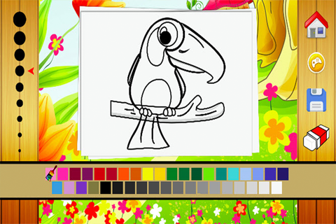 Birds Coloring Book - Drawing and Painting Colorful for kids games free screenshot 3