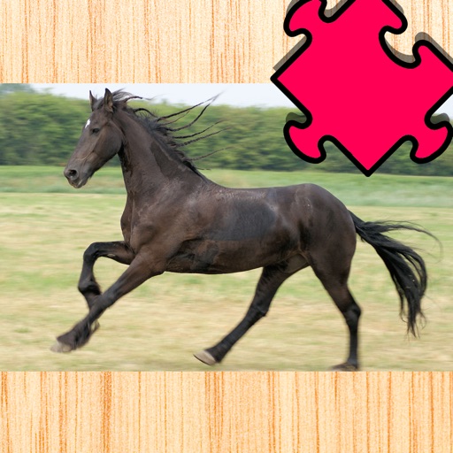 Activity Pony & Cute Animal Puzzle With Small Ponies and Horses For Kids & Family iOS App