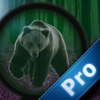 A Forest Elite Sniper PRO - A Bears Strike Amazing