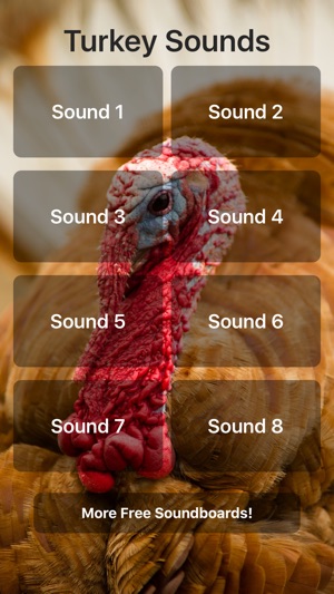 Turkey Sounds