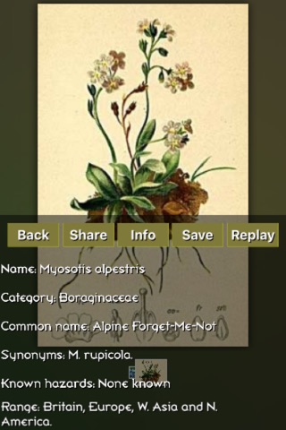 Medicinal Plants Puzzles screenshot 3