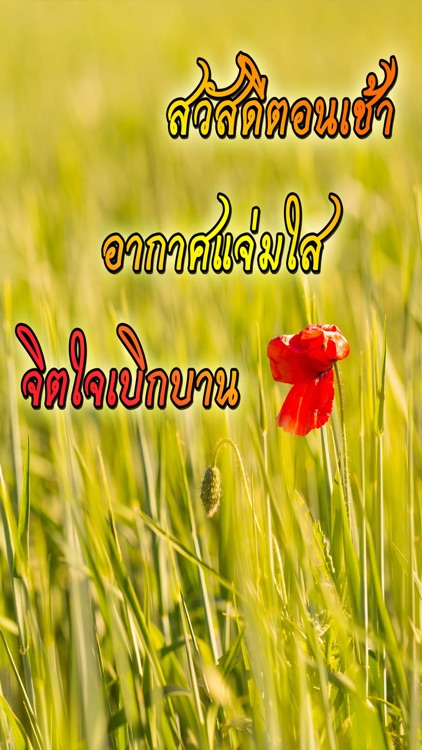 คำคมสวัสดี สวัสดีตอนเช้าฟรีตามวัน screenshot-3