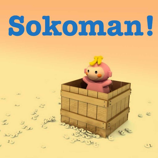 Sokoban-Push Box iOS App