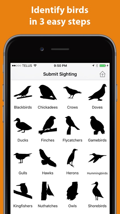 Birder - Log birds you see screenshot-3