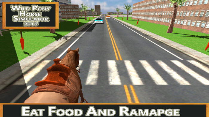 Wild Pony Horse Simulator 2016