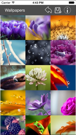 Wallpaper Collection Macro Edition(圖4)-速報App