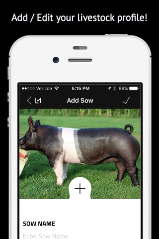 Livestock Manager - Pig screenshot 2