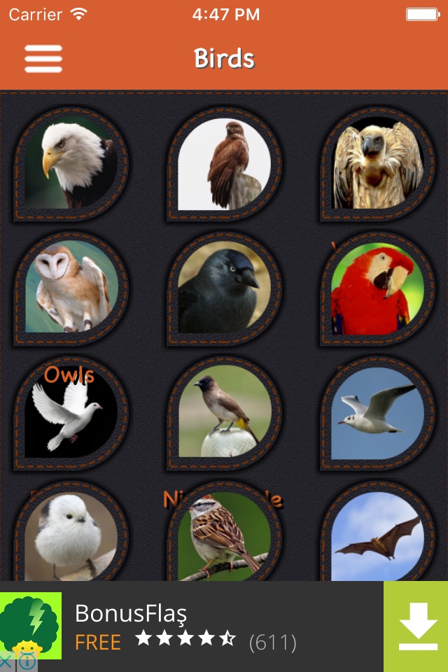 Animal Sounds with Pictures screenshot 3