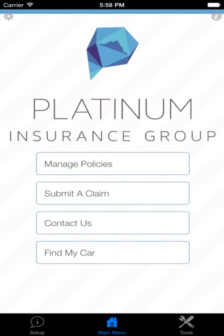 Platinum Insurance Group screenshot 3