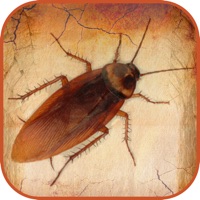 CockRoach Scare Prank - CockRoach Magic Free PC 용