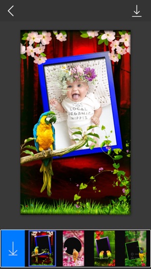 Bird Photo Frames - Make awesome photo using beautiful photo(圖4)-速報App