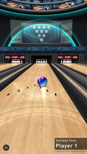 ‎Bowling Game 3D Plus Screenshot