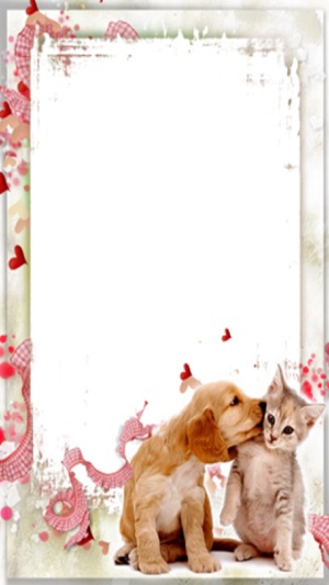 FREE Birthday Frames(圖3)-速報App