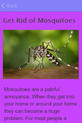 How To Stop Mosquito Bites screenshot 3