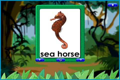 Flashcard For Kids 1 screenshot 4