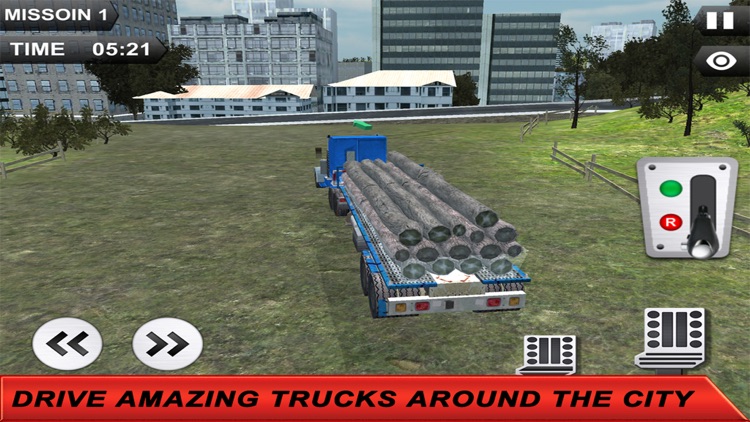 Cargo Transport Truck 3D