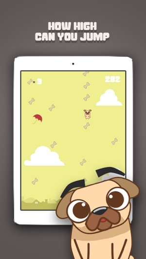 Fly Pug Fly(圖2)-速報App