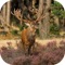 Icon Elk Hunting Calls!