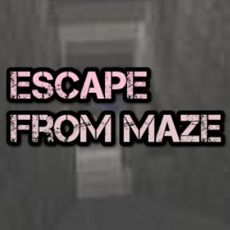 Activities of Escape From Maze