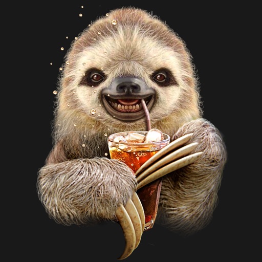 Sloths Wallpapers HD: Quotes Backgrounds with Art Pictures icon