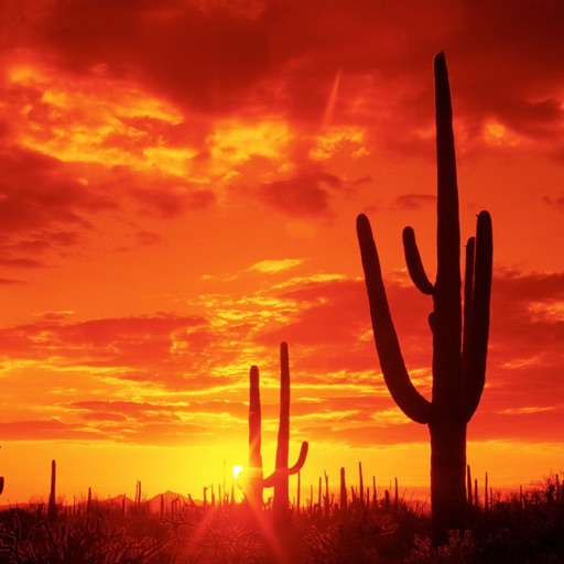 Arizona  Wallpapers HD: Quotes Backgrounds with Art Pictures