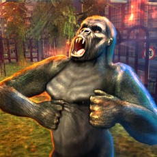 Activities of Gorilla Attack Simulator 2016 - Compete and Conquer as African King Kong