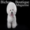 Are you a Bichon Frise lover or owner