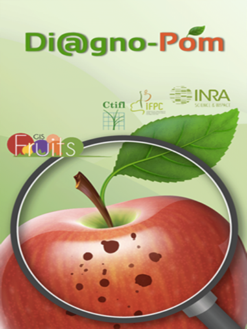 Di@gno-Pom - náhled