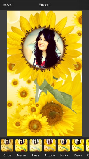 Sunflower Photo Frame(圖3)-速報App