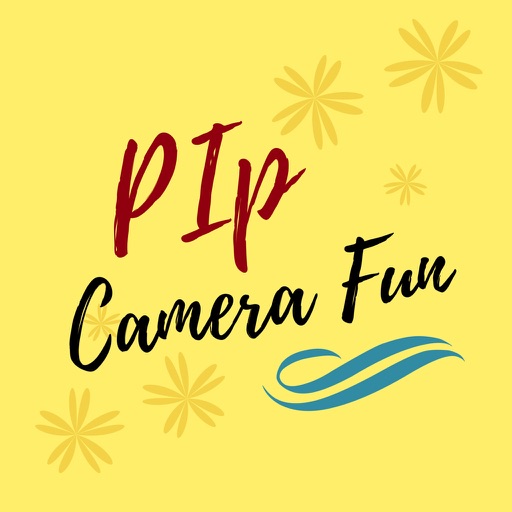 PIP Camera Fun icon