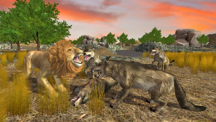 Lion Simulator Animal Survival -  Play as a wild Lion in the Jungle