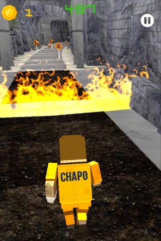 Chapo Chapo screenshot 3