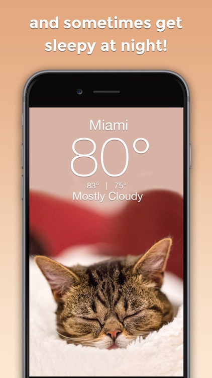 Weather BUB