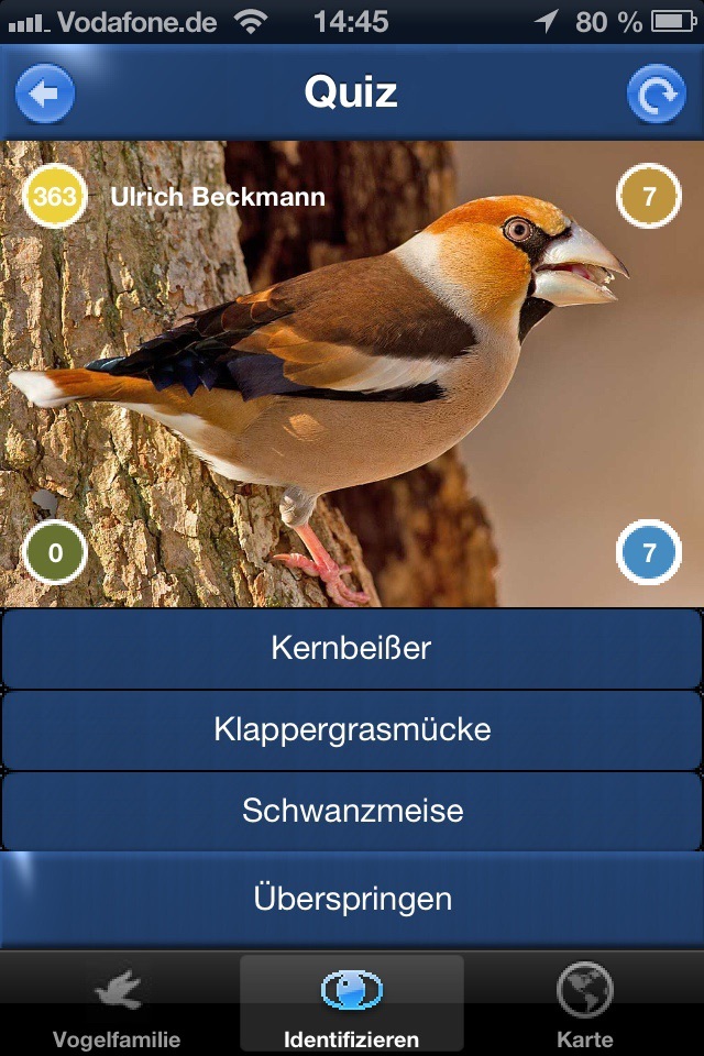 Vogel Id Österreich - Vögel Erkennen und Bestimmen in Natur und Garten screenshot 4