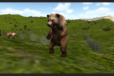 Wild Bear Sniper Hunter 2016 screenshot 4