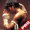 Muay Thai Kickboxing Submission Self Defense Martial Arts